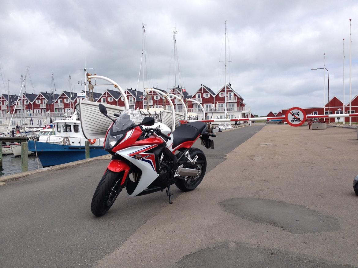 Honda CBR 650 FA billede 2