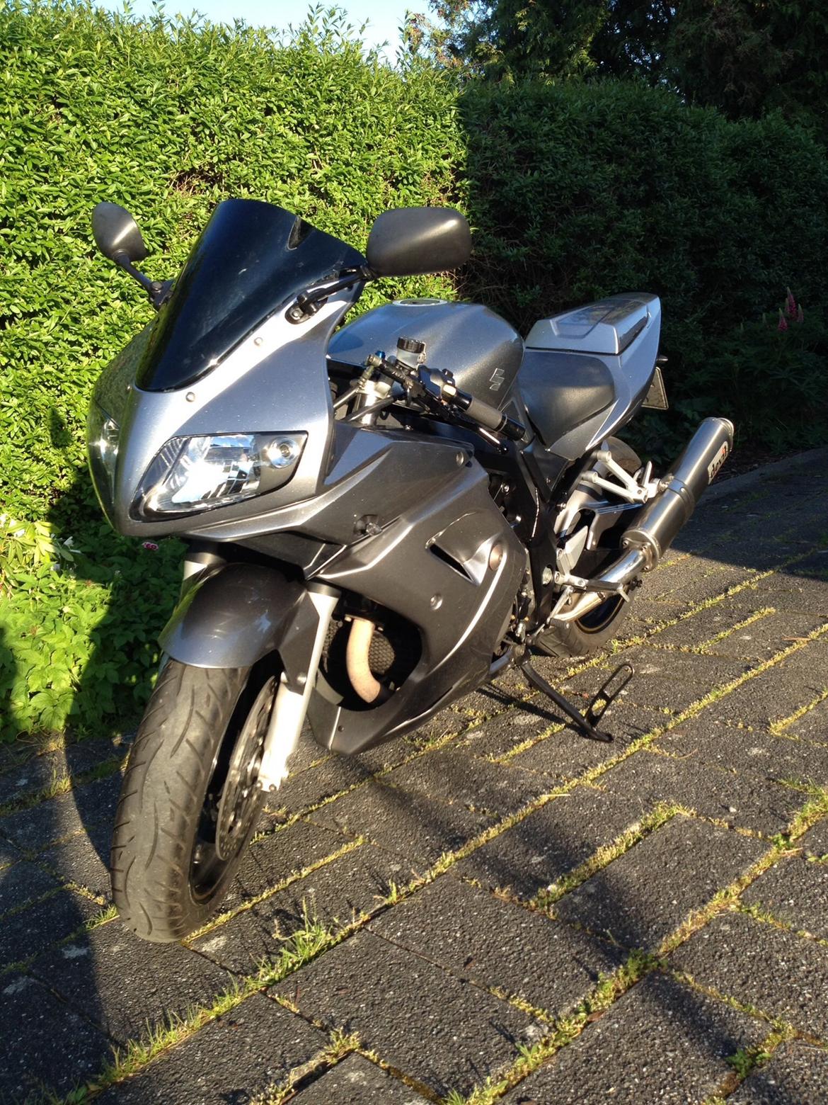 Suzuki SV1000S [solgt] billede 16