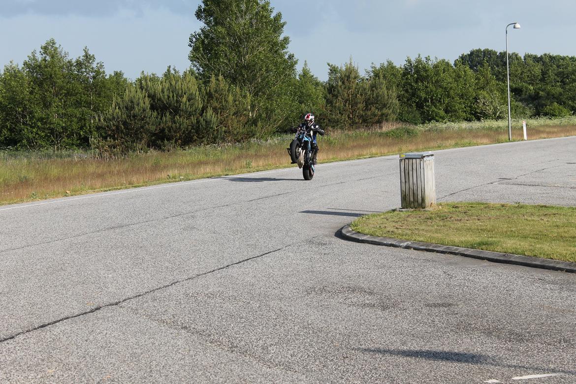 Honda CBR 600 stuntcykel billede 15