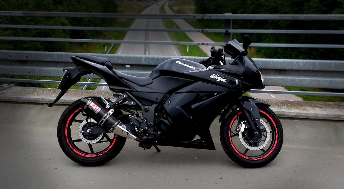 Kawasaki Ninja 250R - Inden larkering, skift af skjolde, nummerpladeholder, blinklys, mm. billede 12