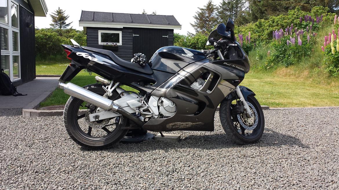 Honda cbr 600 f3 billede 1
