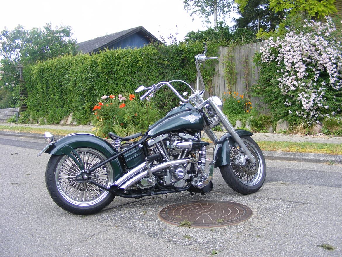 Harley Davidson blandet billede 1