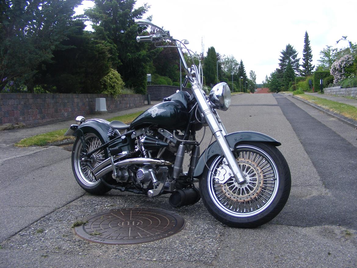 Harley Davidson blandet billede 2