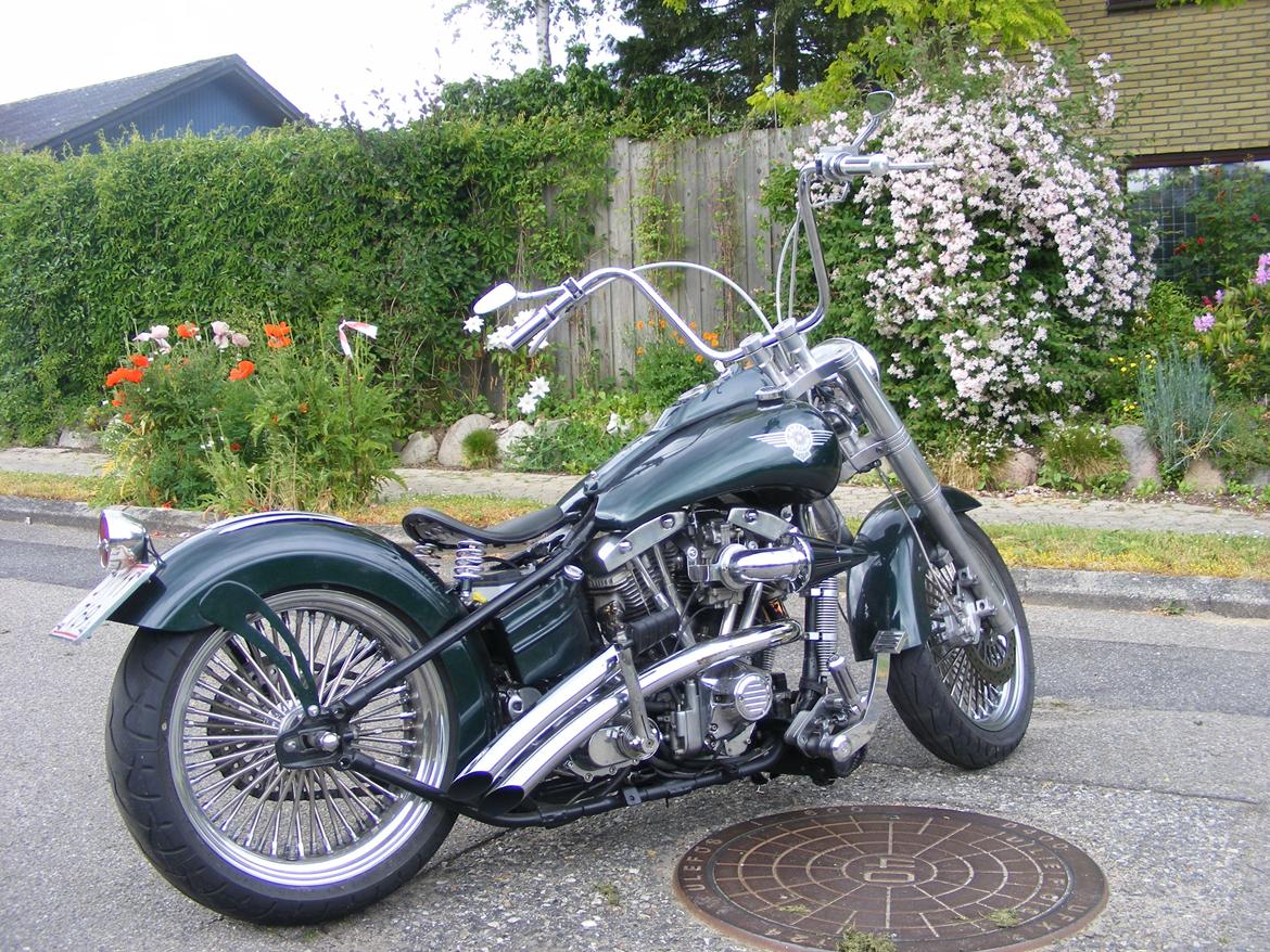 Harley Davidson blandet billede 3