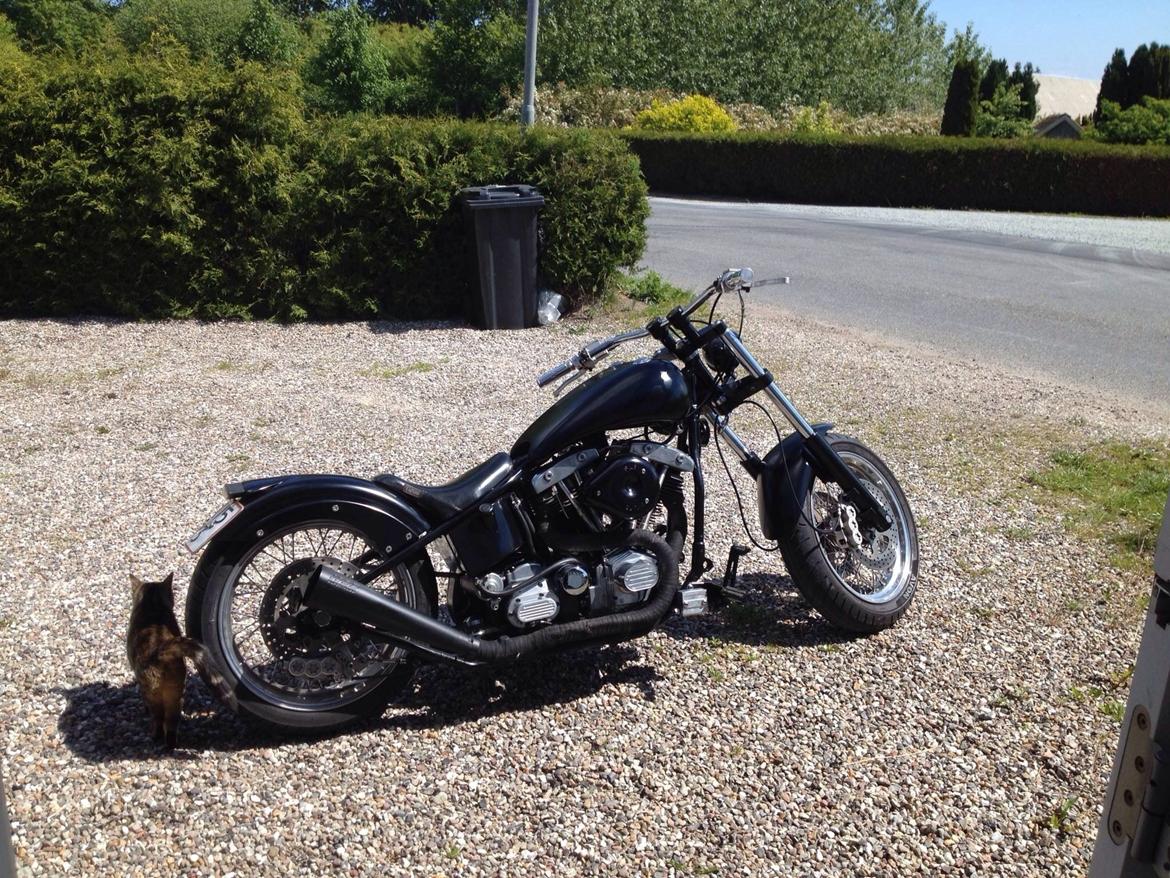 Harley Davidson Modificeret stivsteller f billede 5