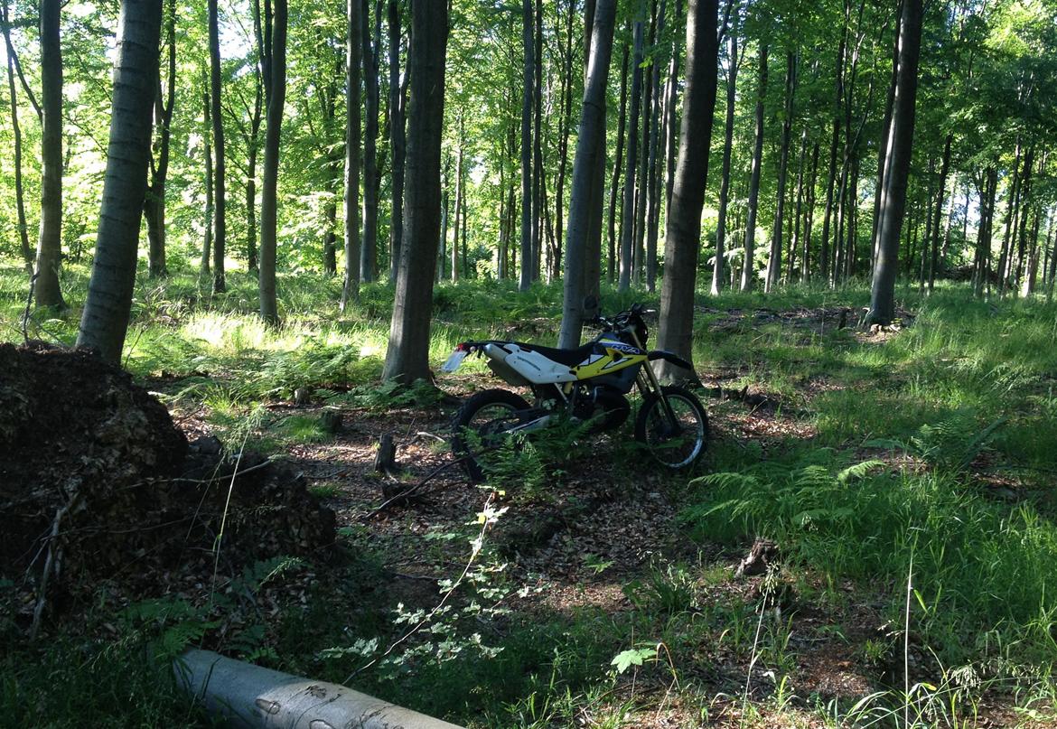 Husqvarna WR 250 billede 8