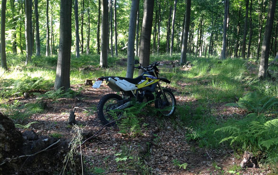 Husqvarna WR 250 billede 9