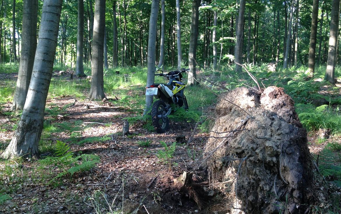 Husqvarna WR 250 billede 7