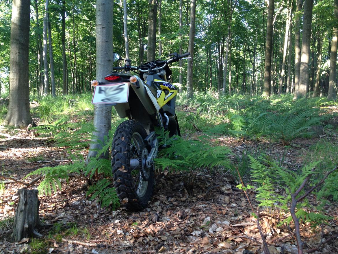 Husqvarna WR 250 billede 5