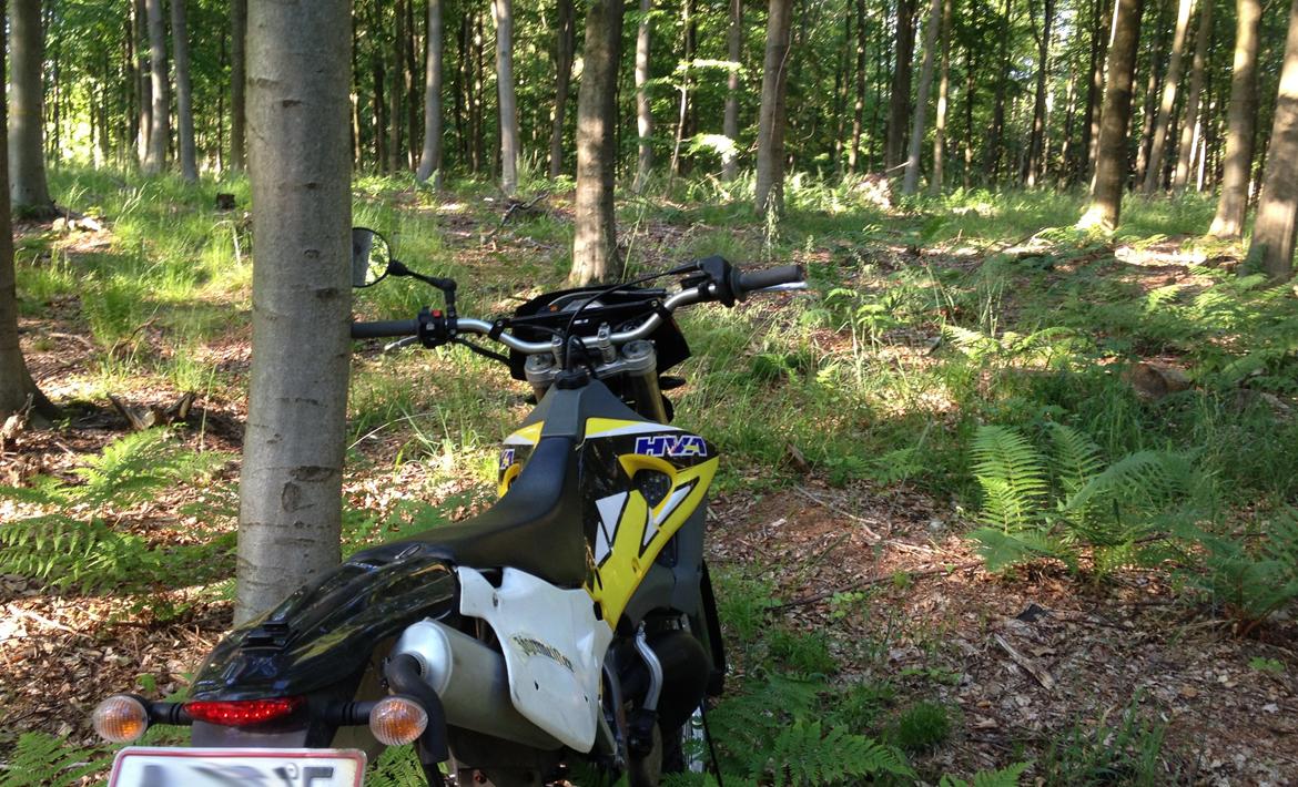 Husqvarna WR 250 billede 6