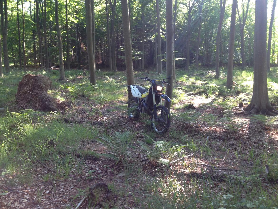 Husqvarna WR 250 billede 10