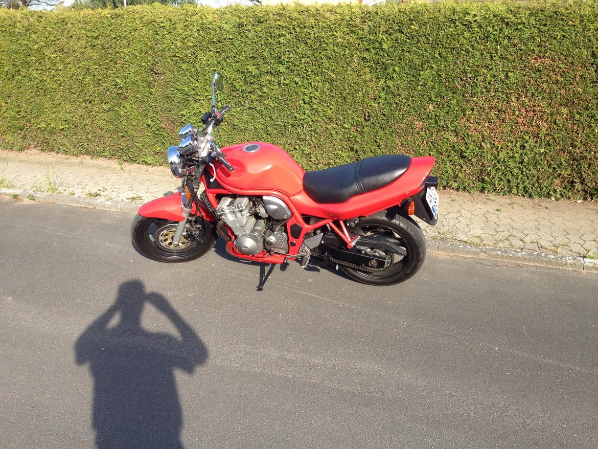 Suzuki GSF 600 Bandit billede 5