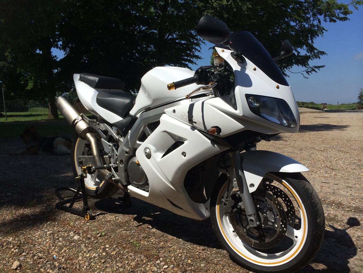 Suzuki SV 650s billede 1