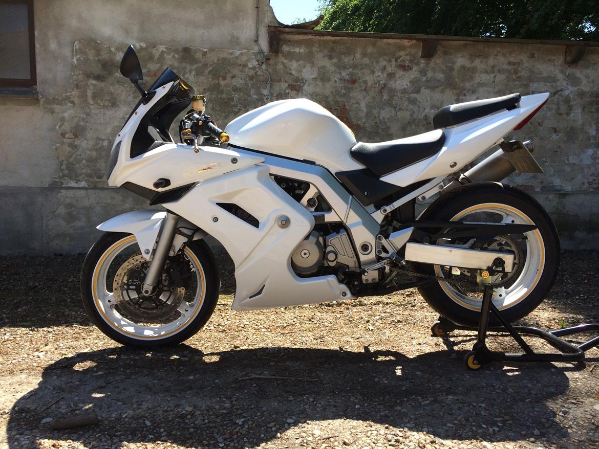 Suzuki SV 650s billede 2