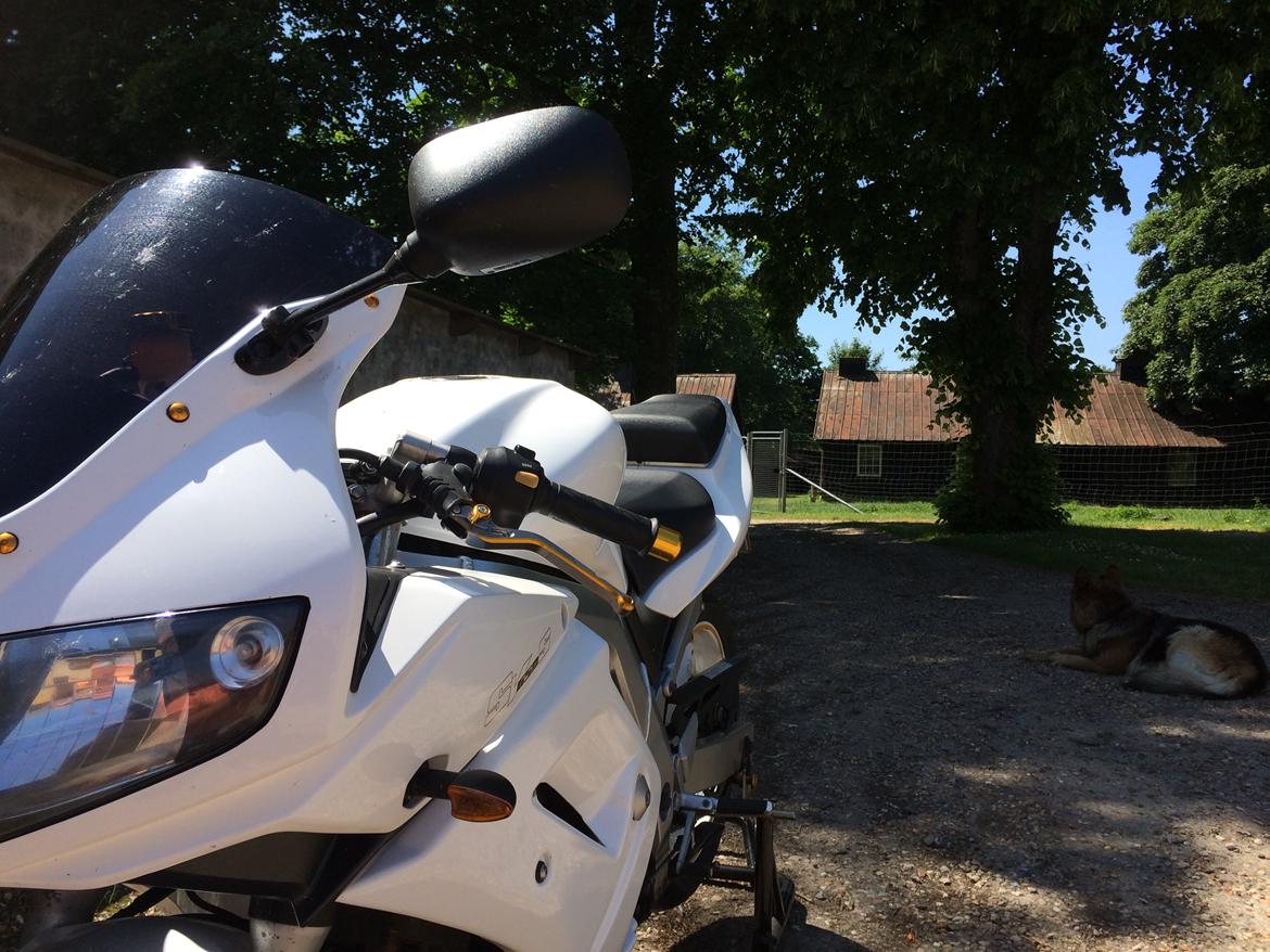 Suzuki SV 650s billede 4