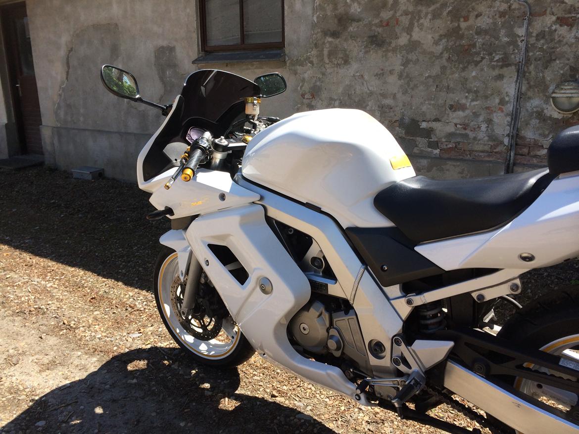 Suzuki SV 650s billede 5