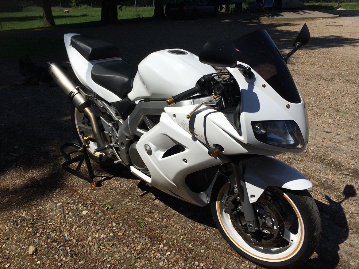 Suzuki SV 650s billede 8