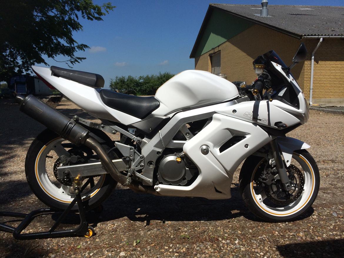 Suzuki SV 650s billede 7