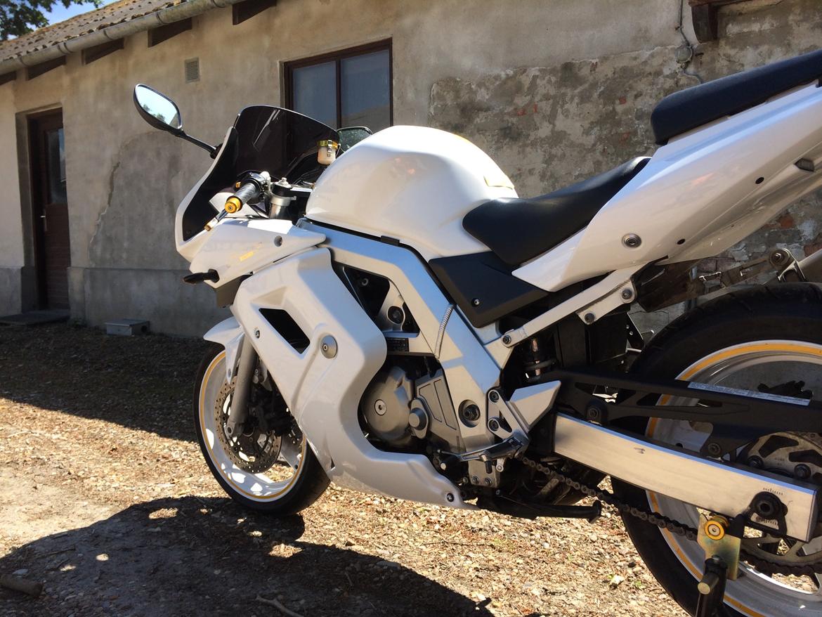 Suzuki SV 650s billede 11