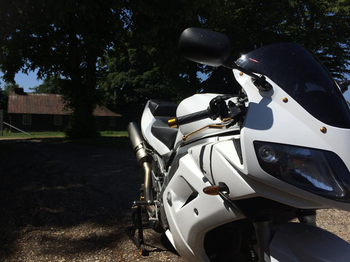 Suzuki SV 650s billede 9