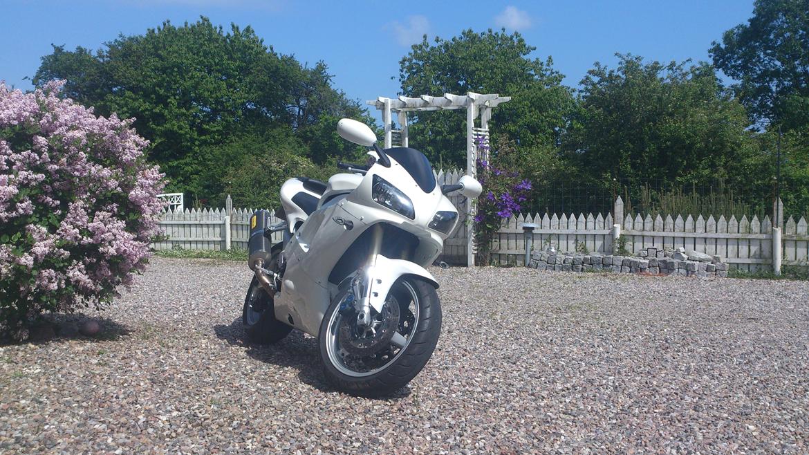 Yamaha YZF R1 billede 3