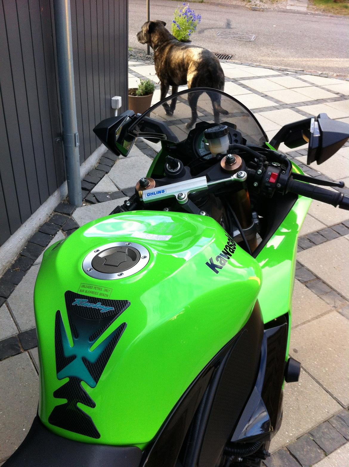 Kawasaki ZX10R billede 5