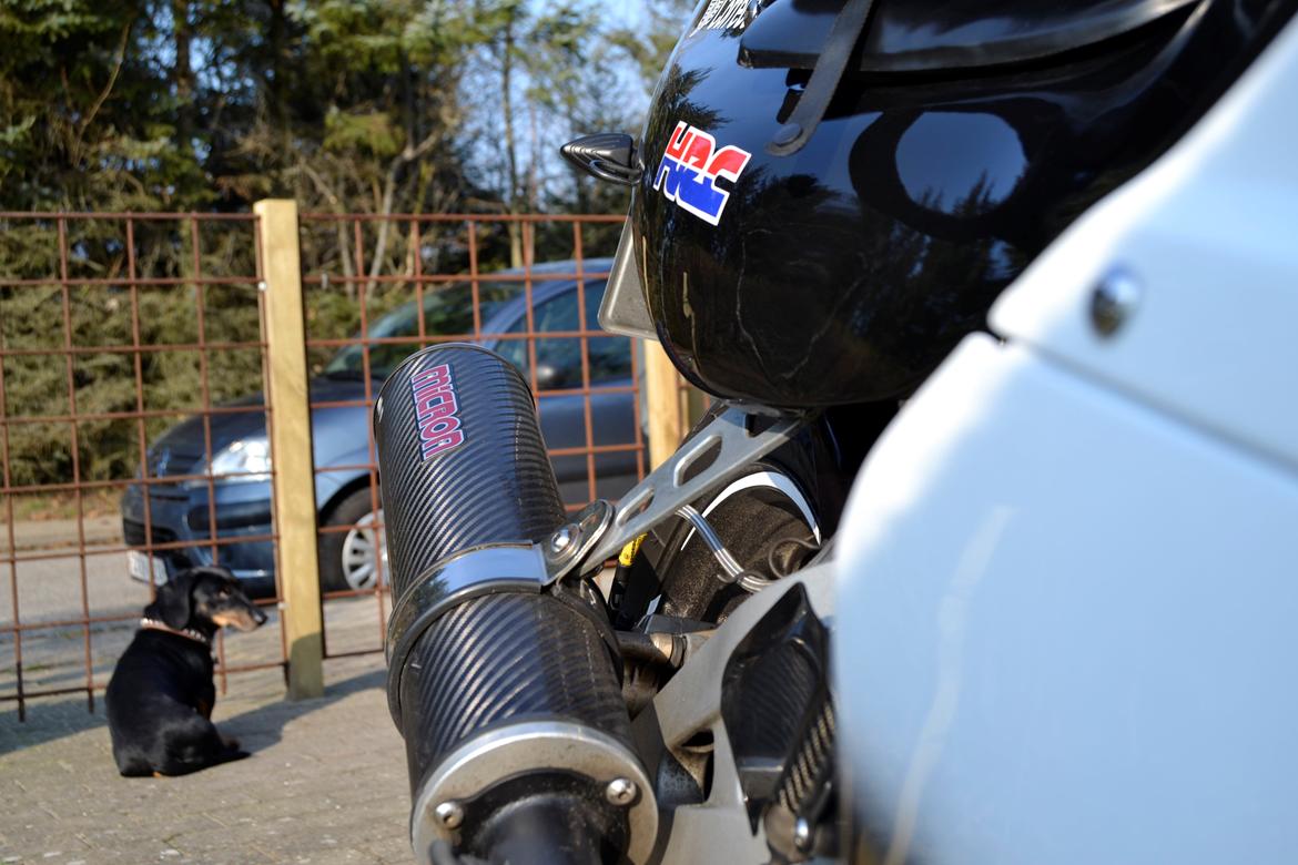 Honda CBR 400 billede 10