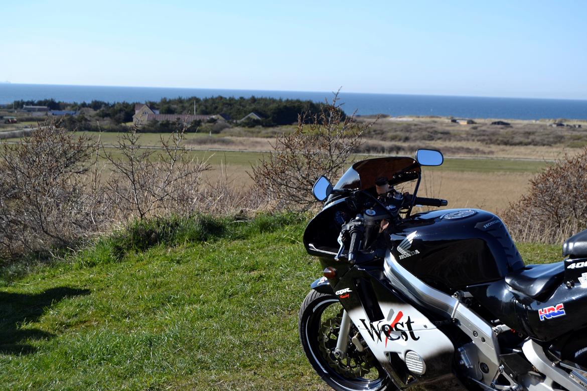 Honda CBR 400 billede 13