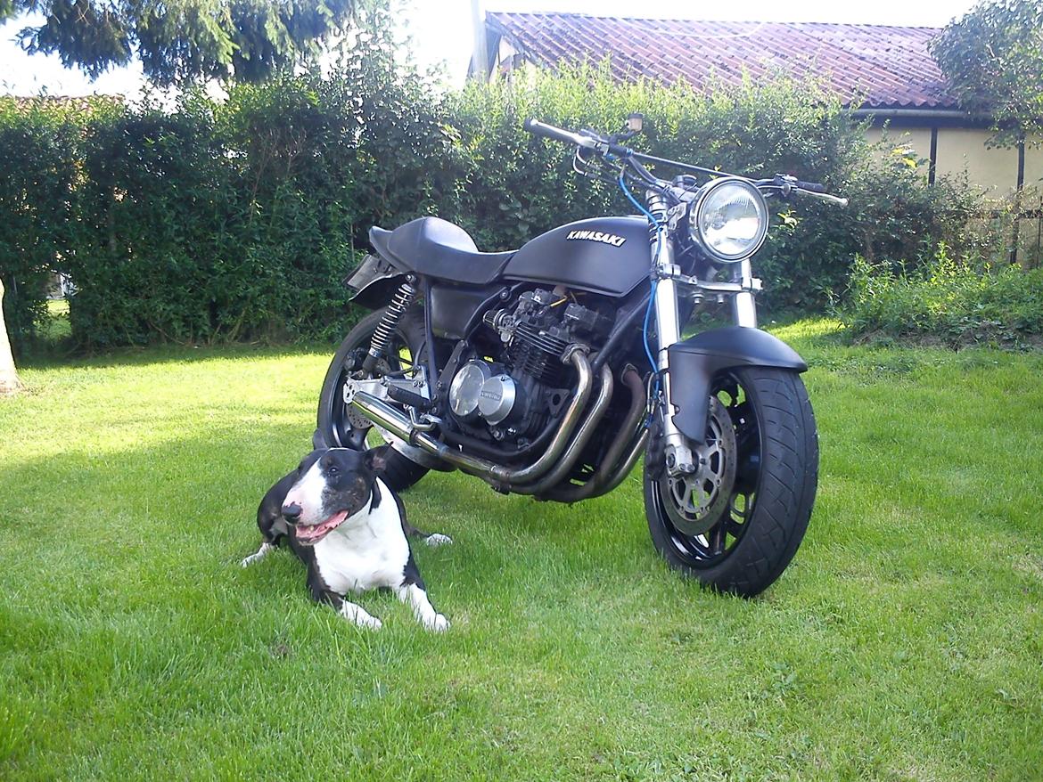 Kawasaki Kawasaki z650/750 billede 14