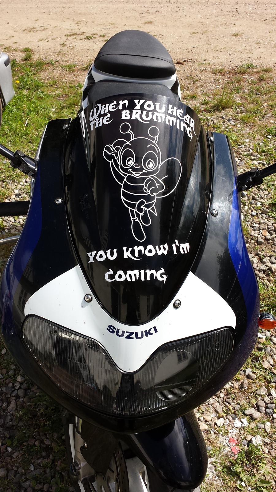 Suzuki TL1000R billede 1