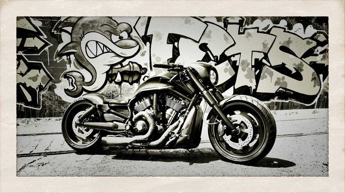 Harley Davidson Night Rod Special SOLGT billede 14