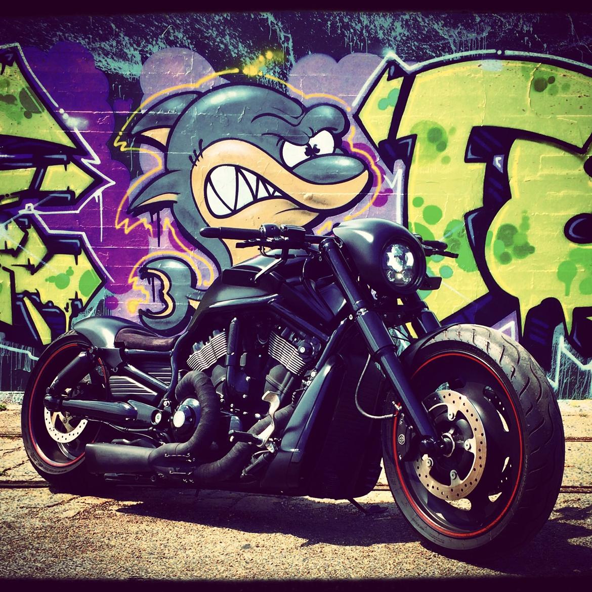 Harley Davidson Night Rod Special SOLGT billede 16