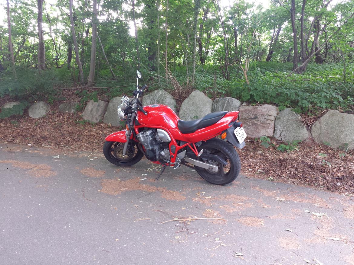 Suzuki GSF600N billede 10