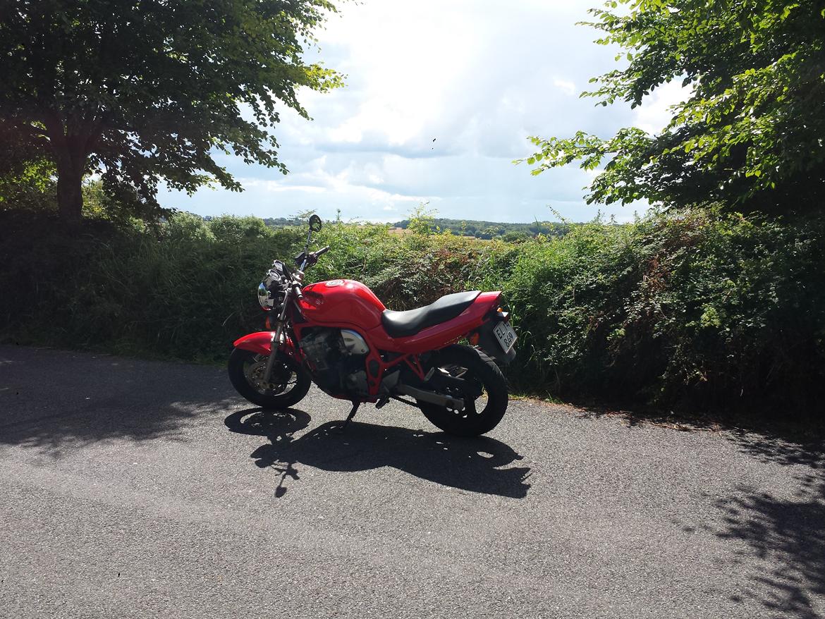 Suzuki GSF600N billede 11