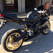 Triumph Daytona