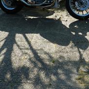 Harley Davidson sportster sport