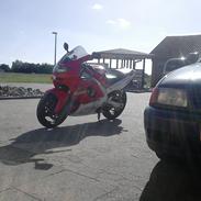 Yamaha YZF 600R Thundercat
