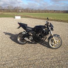 Honda CBR 600 F1