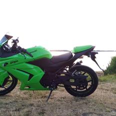 Kawasaki Ninja 250r