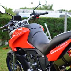 Aprilia Pegaso Strada