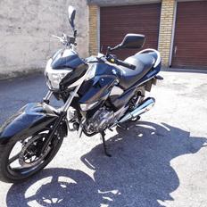 Suzuki GW 250 Inazuma