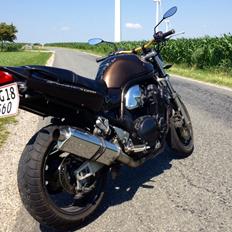 Suzuki Bandit 1200N (GSF1200N) SOLGT