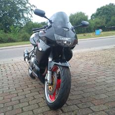 Honda VTR 1000 Firestorm