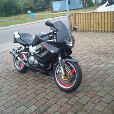 Honda VTR 1000 Firestorm