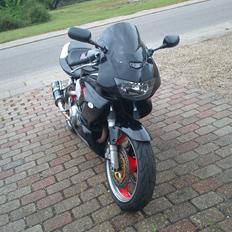 Honda VTR 1000 Firestorm