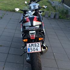 BMW K1300S