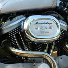 Harley Davidson sportster sport