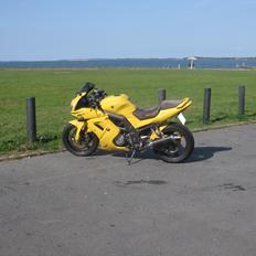 Suzuki Sv1000 s