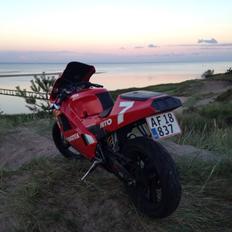 Cagiva Mito lawson