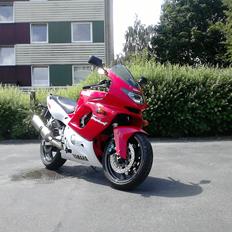 Yamaha YZF 600R Thundercat